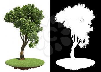 Curved Green Tree Isolated on White Background with Detail Raster Mask.