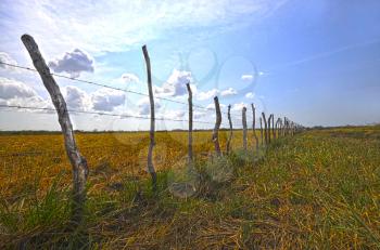 HDR image of a barbwire fence over a pasture field in the country with a dramatic sky and  the sun shining
