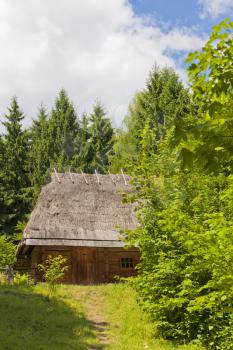 Old traditional wooden house with the thatched roof in a forest (Ukraine).