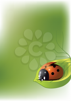 background with a ladybug on a leaf
