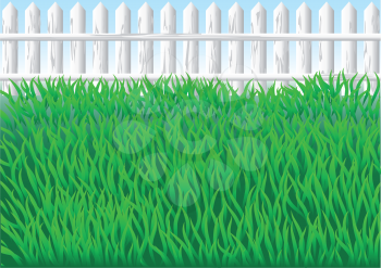 garden grass and white fence. 10 EPS