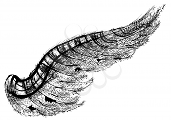 black wing isolated on the white background