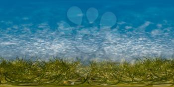 hdri map of blue sky and green grass