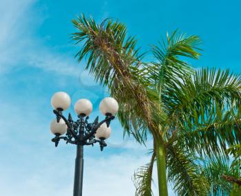 Vintage street lantern and palm tree on blue sky background, Vietnam