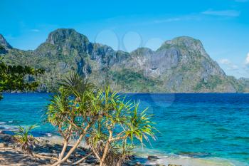 Royalty Free Photo of a Scenic Seashore in Palawan, Philippines