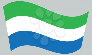 Sierra Leonean national official flag. African patriotic symbol, banner, element, background. Correct colors. Flag of Sierra Leone waving on gray background, vector