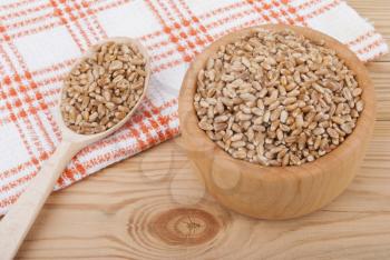 Wheat grains in a plate.
