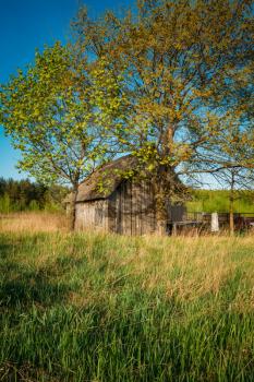 Russian Antique Wooden Village House In Russia In Summer, Spring Sunny Day. Rural Landscape With Old Home Bright Blue Sky, Green Grass And Tree.