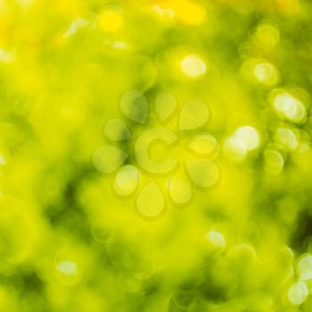 Blurred Lights Background Bright Green. Spring Bokeh. Abstract Summer Background