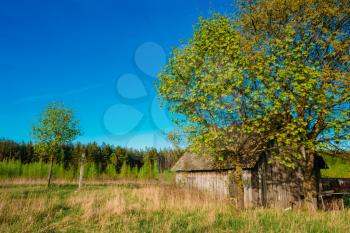 Russian Antique Wooden Village House In Russia In Summer, Spring Sunny Day. Rural Landscape With Old Home Bright Blue Sky, Green Grass And Tree.