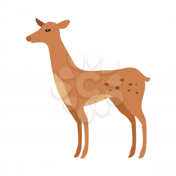Fawn isolated on white. Junior verdant young brown spotted deer. Ruminant mammals forming family Cervidae. Little inexperienced fawn in its first year. Cartoon illustration. Herbivore creature. Vector