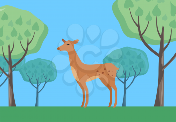 Young fallow deer female in forest on national park with trees behind. Flat style vector. European nature beauty. For travel, nature concept, habitat illustrating. Wildlife and environment concept