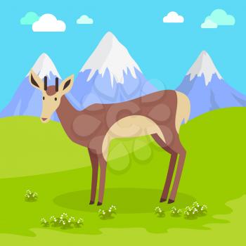 Young fallow deer male with horns on mountain meadow with snowy mountains behind. Flat style vector. North nature beauty. For travel, nature concept, children s book illustrating, printing material