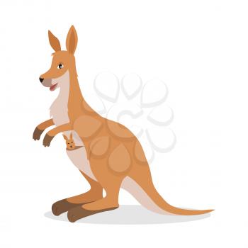 Kangaroo isolated on white. Red kangaroo, antilopine kangaroo, eastern and western grey kangaroo. Wallabies, tree-kangaroos, wallaroos. Kangaroo with joey baby in pouch. Vector ilustration