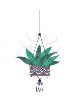 Room plant isolated, houseplant vector. Pot decorated with ornaments hanging on hook holding with help of thread and fishnet. Decor for home decoration