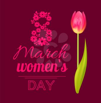 8 March womens day, poster with tulip and leaf, flower and decoration, lettering and lines, blossom and tenderness vector illustration isolated on red