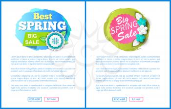 Springtime sale certificate with best prices offer. Vector web page with text sample, buttons read more and buy now. Cost reduction informative leaflets