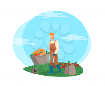 Farming man pushing wheelbarrow vector, male working on harvesting season, farmer on plantation of carrots, bags with ripe fruits and vegetables flat style