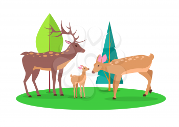 Adult stag and doe with their little fawn in forest cartoon style. Isolated vector illustration of deer family on white background