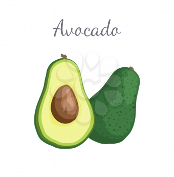 Avocado or alligator pear exotic juicy fruit whole and cut vector isolated. Tropical edible food, dieting veggies plant full of vitamins, nutrition dessert