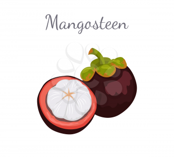 Purple mangosteen exotic juicy fruit whole and cut icon vector. Tropical edible food, dieting vegetarian plant full of vitamins with endocarp white inside