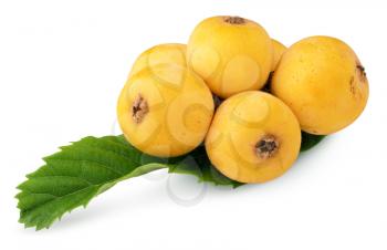 bunch of ripe medlars isolated on white with clipping paths