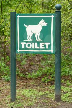 A greensignboard toilet for dogs (Holland)