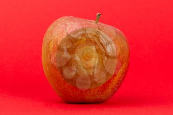 One bad red apple isolated on a red background