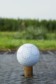 Golf ball with rubber tee with grass in the background