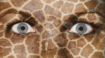 Women eye, close-up, eyes wide open, giraffe pattern