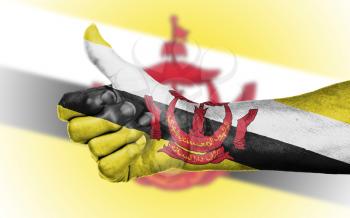 Old woman giving the thumbs up sign, isolated, flag of Brunei