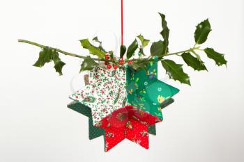 Butcher's broom and christmas decoration, isolated on white
