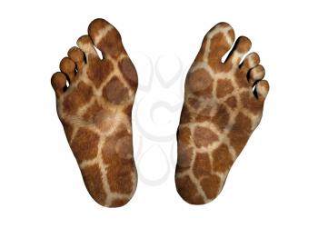 Human feet isolated on white, giraffe print