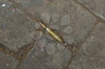 Ammunition on the ground after being fired