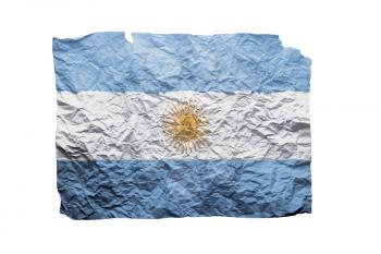 Close up of a curled paper on white background, print of the flag of Argentina