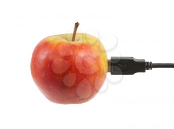 Science and nature symbiosis concept, apple and USB plug