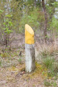 Yellow marking at a walking path in the dutch forrest