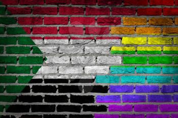 Dark brick wall texture - coutry flag and rainbow flag painted on wall - Sudan