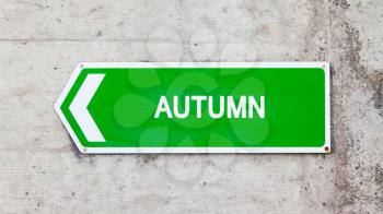 Green sign on a concrete wall - Autumn