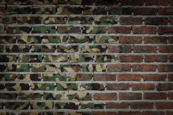 Dark brick wall texture - flag painted on wall - Army camouflage