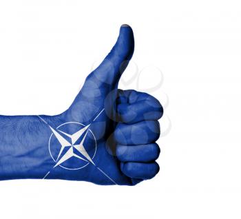 Closeup of male hand showing thumbs up sign against white background, NATO