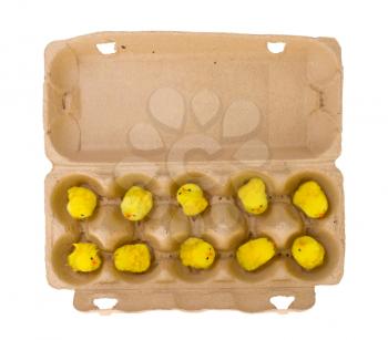 Easter chicks in an eggbox, isolated on white