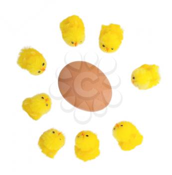 Easter chicks surrounding a large egg, isolated