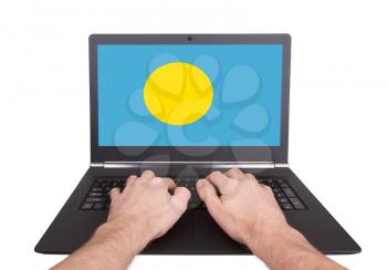 Hands working on laptop showing on the screen the flag of Palau