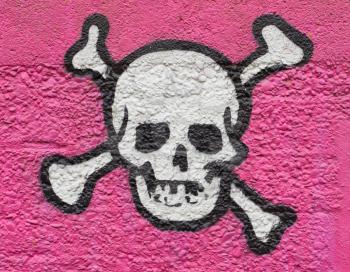 Simple black an white skull on a pink wall