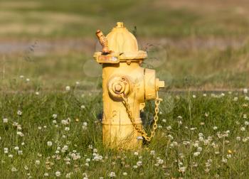 Yellow fire hydrant on a city sidewalk, Iceland