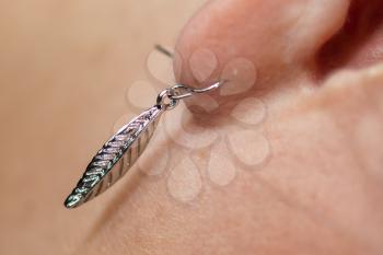 Women's earring, metal feather, selective focus