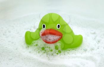 Green duck in a bathtub, surrounded by soap