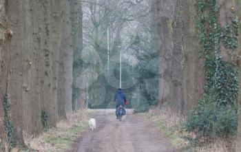 Unrecognisable old man riding a bike, his dog is following