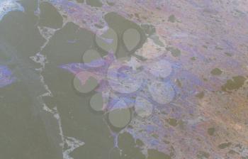 Oil on dirty water - Pollution in the Netherlans